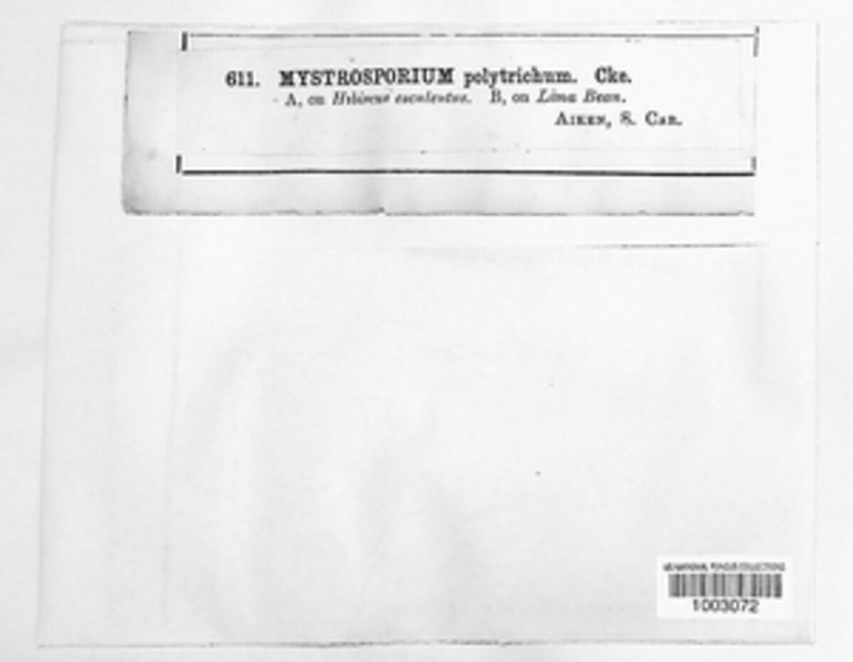 Mystrosporium polytrichum image